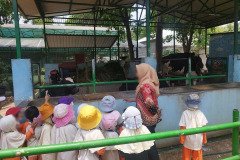 Kunjungan-Edukasi-Wisata-Ragunan-32
