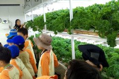 Kunjungan-Edukasi-Wisata-Ragunan-6